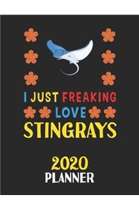 I Just Freaking Love Stingrays 2020 Planner