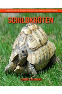 Schildkröten