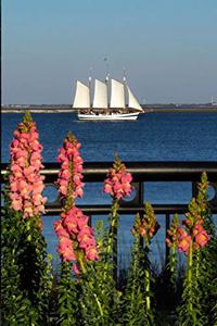 Charleston, South Carolina Journal