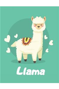 Llama Notebook