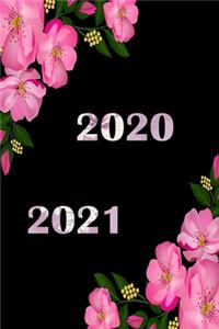 2020 / 2021