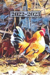 Pretty Blue Tail Golden Rooster Chicken Lover's Dated Weekly 2 year Calendar Planner