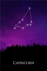 2020 Daily Planner Capricorn Constellation Night Sky Astrology Symbol 388 Pages