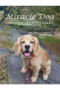 Miracle Dog