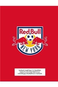 NY Red Bulls Notebook