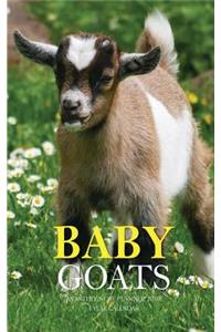 Baby Goats Monthly Note Planner 2019 1 Year Calendar