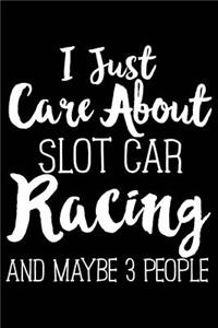 I Just Care about Slot Car Racing and Maybe 3 People