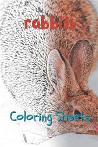 Rabbit Coloring Sheets