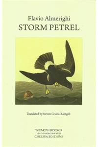 Storm Petrel