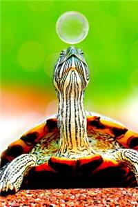 Turtle and a Soap Bubble Journal