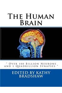 Human Brain