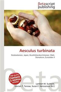 Aesculus Turbinata