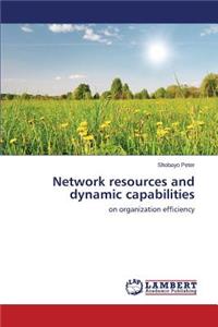 Network resources and dynamic capabilities