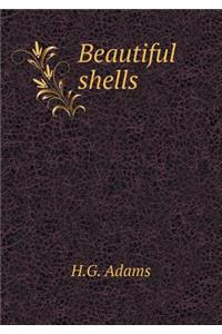 Beautiful Shells