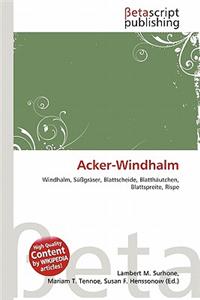 Acker-Windhalm