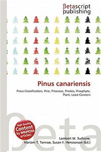 Pinus Canariensis