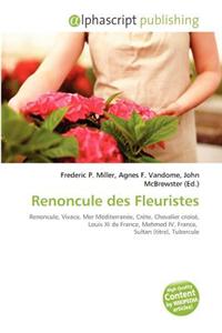 Renoncule Des Fleuristes