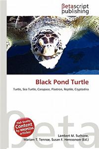 Black Pond Turtle