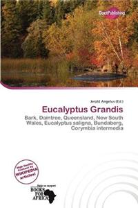 Eucalyptus Grandis