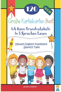 120 Große Karteikarten Bunt Ich Kann Grundvokabeln In 5 Sprachen Lesen Deutsch Englisch Französisch Spanisch Tamil