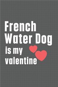 French Water Dog is my valentine