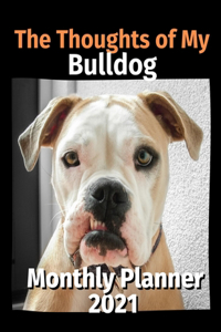 The Thoughts of My Bulldog