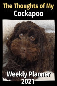 The Thoughts of My Cockapoo
