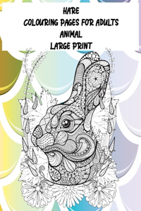 Animal Colouring pages for Adults - Large Print - Hare