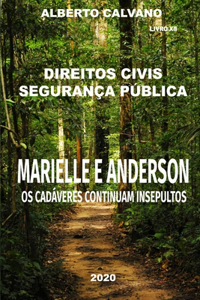 Direitos Civis Segurança Pública MARIELLE E ANDERSON