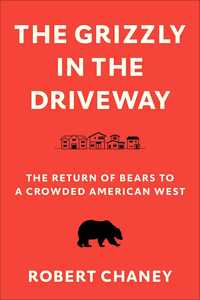 The Grizzly in the Driveway