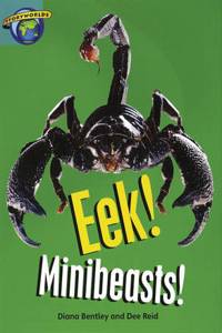 Fact World Stage 6: Eek! Minibeasts!