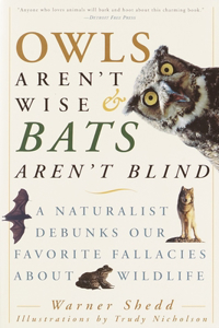 Owls Aren't Wise & Bats Aren't Blind