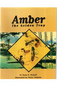 Comprehension Power Readers Amber: The Golden Trap Grade 3 Single 2004c