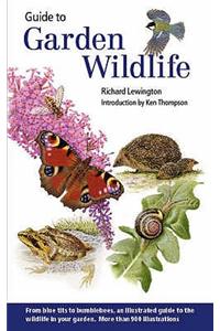 Guide to Garden Wildlife