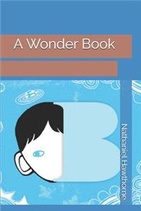 A Wonder Book