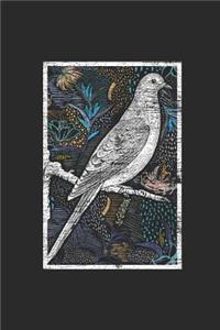 Pigeon Floral