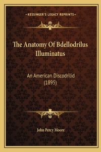 Anatomy Of Bdellodrilus Illuminatus