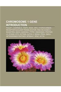 Chromosome 1 Gene Introduction: Pou2f1, Caspase-9, Traf5, Rgs4, Aryl Hydrocarbon Receptor Nuclear Translocator, RNA Helicase A, Nicastrin