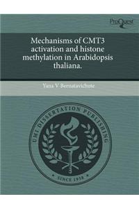 Mechanisms of Cmt3 Activation and Histone Methylation in Arabidopsis Thaliana