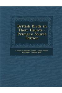 British Birds in Their Haunts