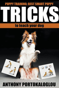 Dog Tricks