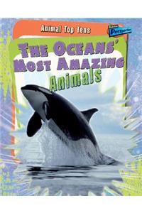 The Oceans' Most Amazing Animals