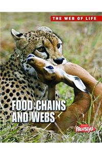 Food Chains and Webs
