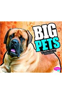 Big Pets