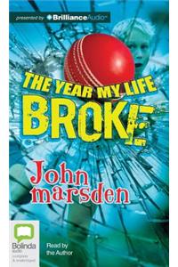 The Year My Life Broke