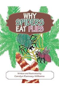Why Spiders Eat Flies