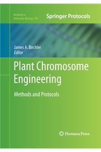 Plant Chromosome Engineering
