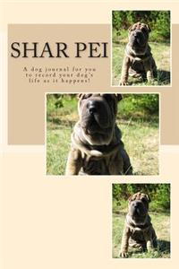 Shar Pei