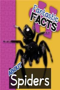 Fantastic Facts about Spiders