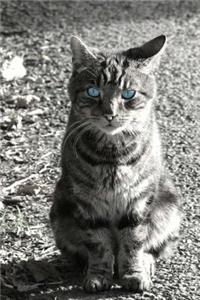 Mind Blowing Blue Eye Kitty 200 page lined journal
